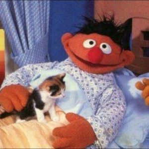 Meet your Posher, Lexy